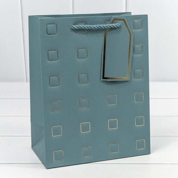 000881E Пакет подарочный с тиснением "Квадратики" (микс) 18*23*10 210г 1/20 1/360